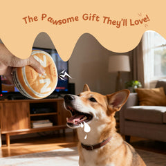 Nocciola ZN blue disc dog toy close-up shows crinkle texture to spark curiosity.