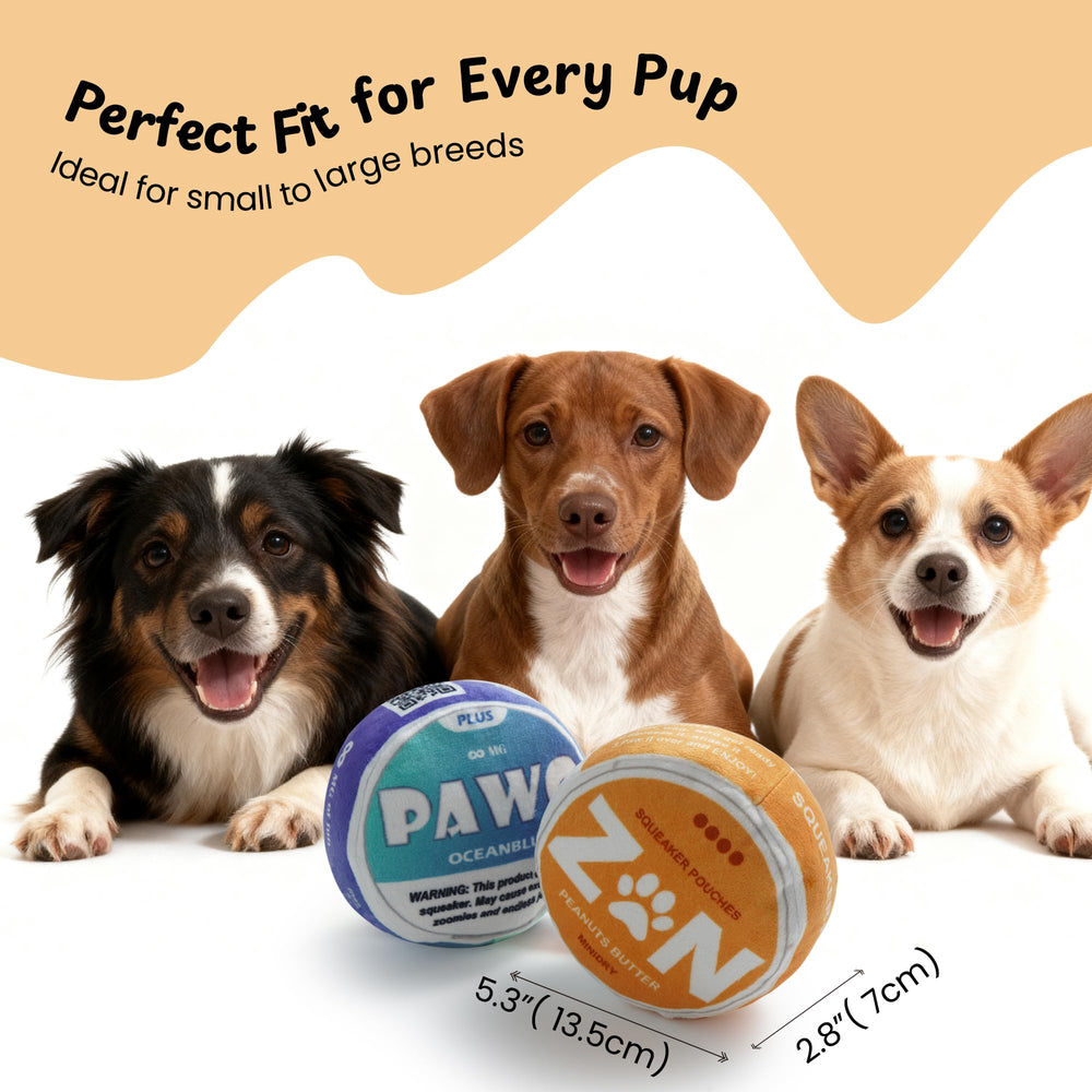 Nocciola ZN blue disc dog toy designed for dogs of all sizes to fetch.