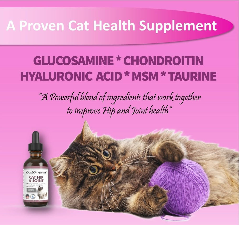 NODENS Cat Hip and Joint Liquid dropper — convenient daily dosing for cat joint care.