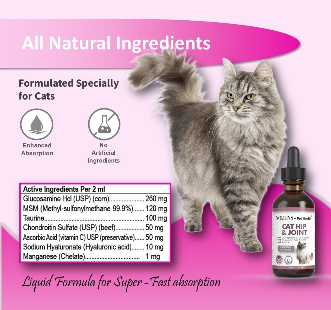 NODENS Cat Hip and Joint Liquid ingredients — glucosamine, chondroitin, hyaluronic acid for joint support.