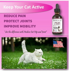 NODENS Cat Hip and Joint Liquid during meal time — easily mixed into daily meals.