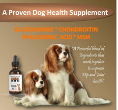 NODENS joint liquid drops dispensing during feeding for picky dogs.