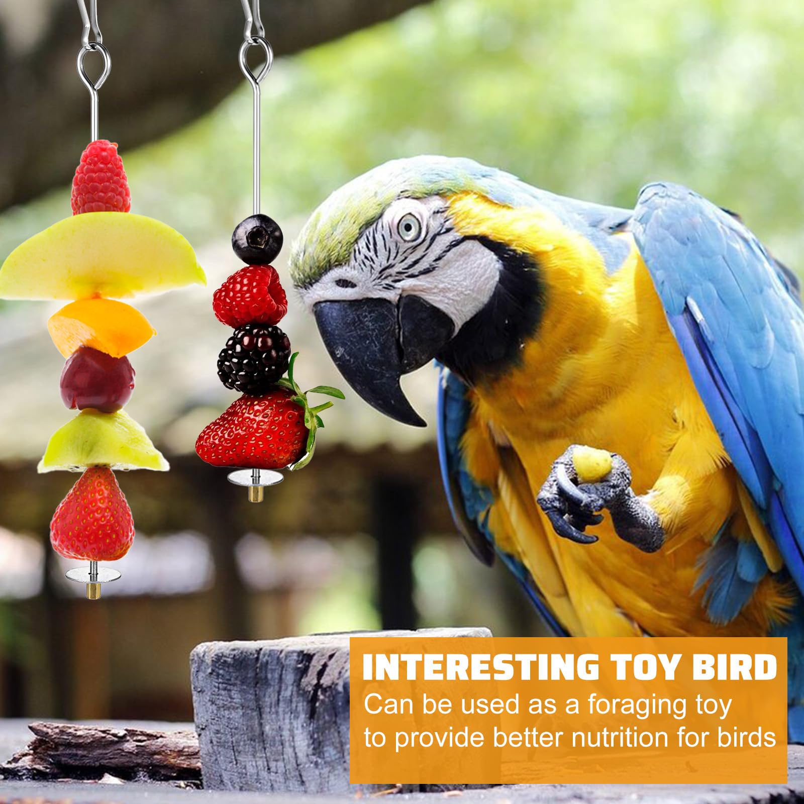 Nogeqi easy-install bird feeders simplify setup in minutes