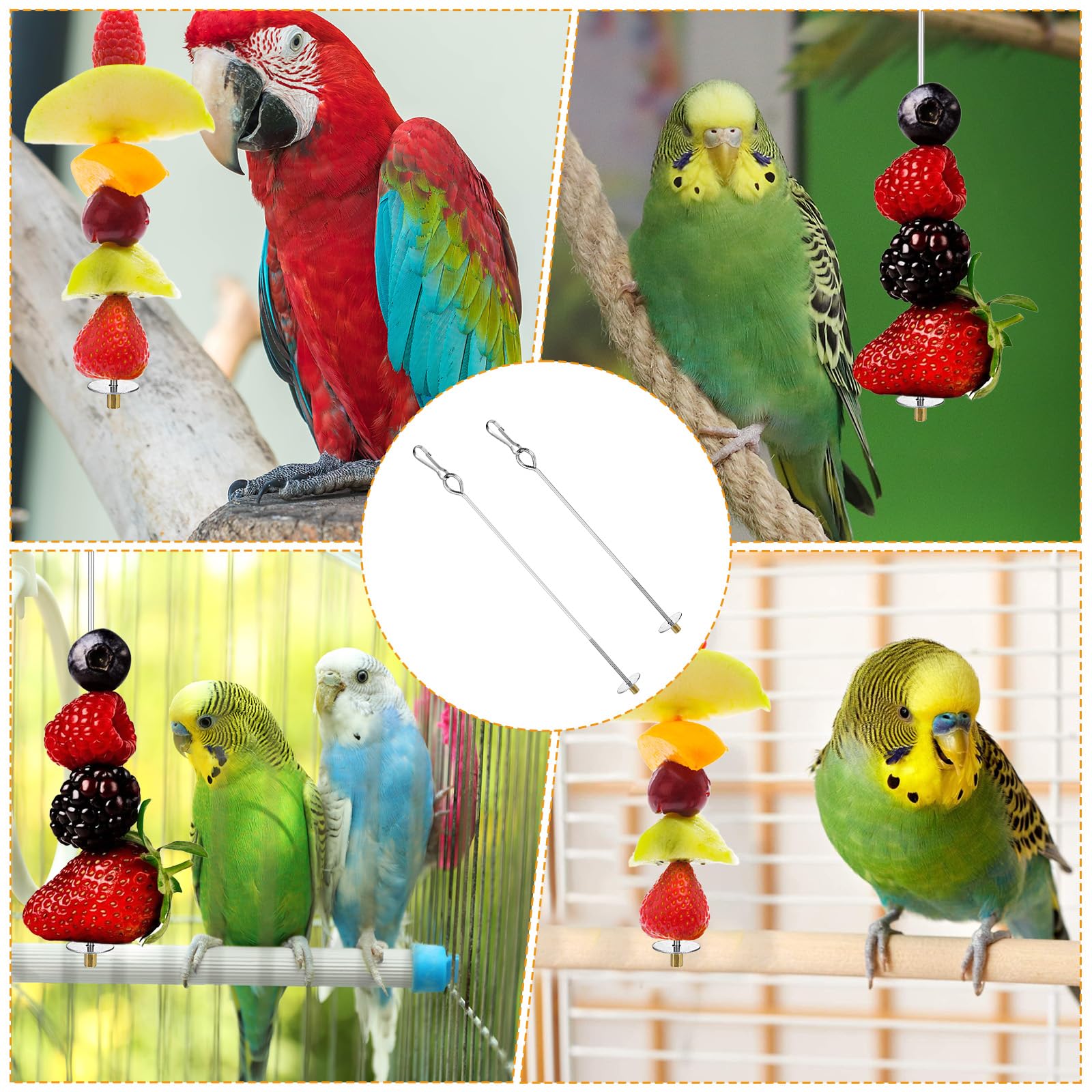 Nogeqi wide-application bird feeder suits parrots, macaws, budgies for varied diets