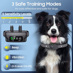 NOIDECE bark collar 2-pack side view demonstrates adjustable fit for medium to large dogs.