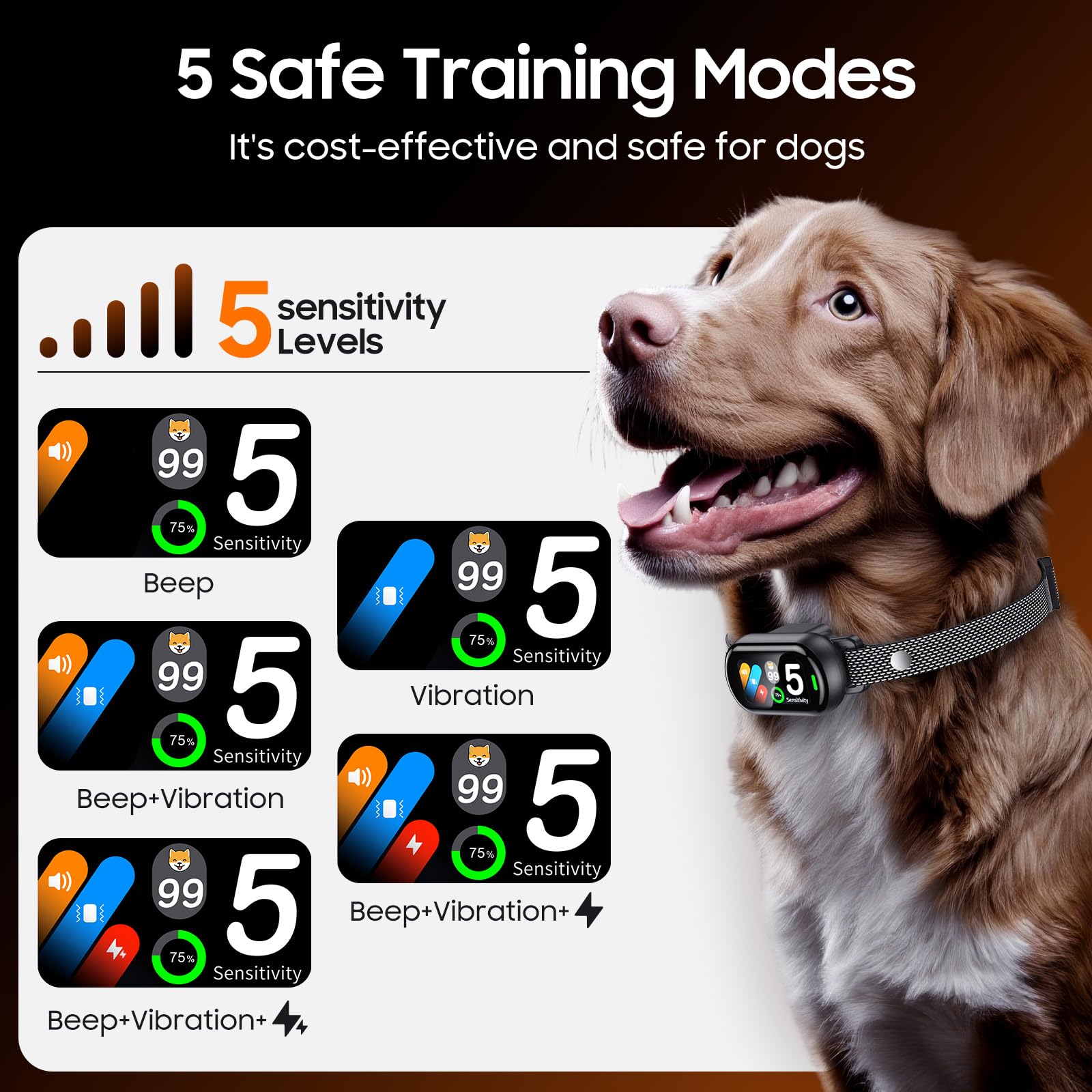 NOIDECE auto bark counter tracks barking for training adjustments