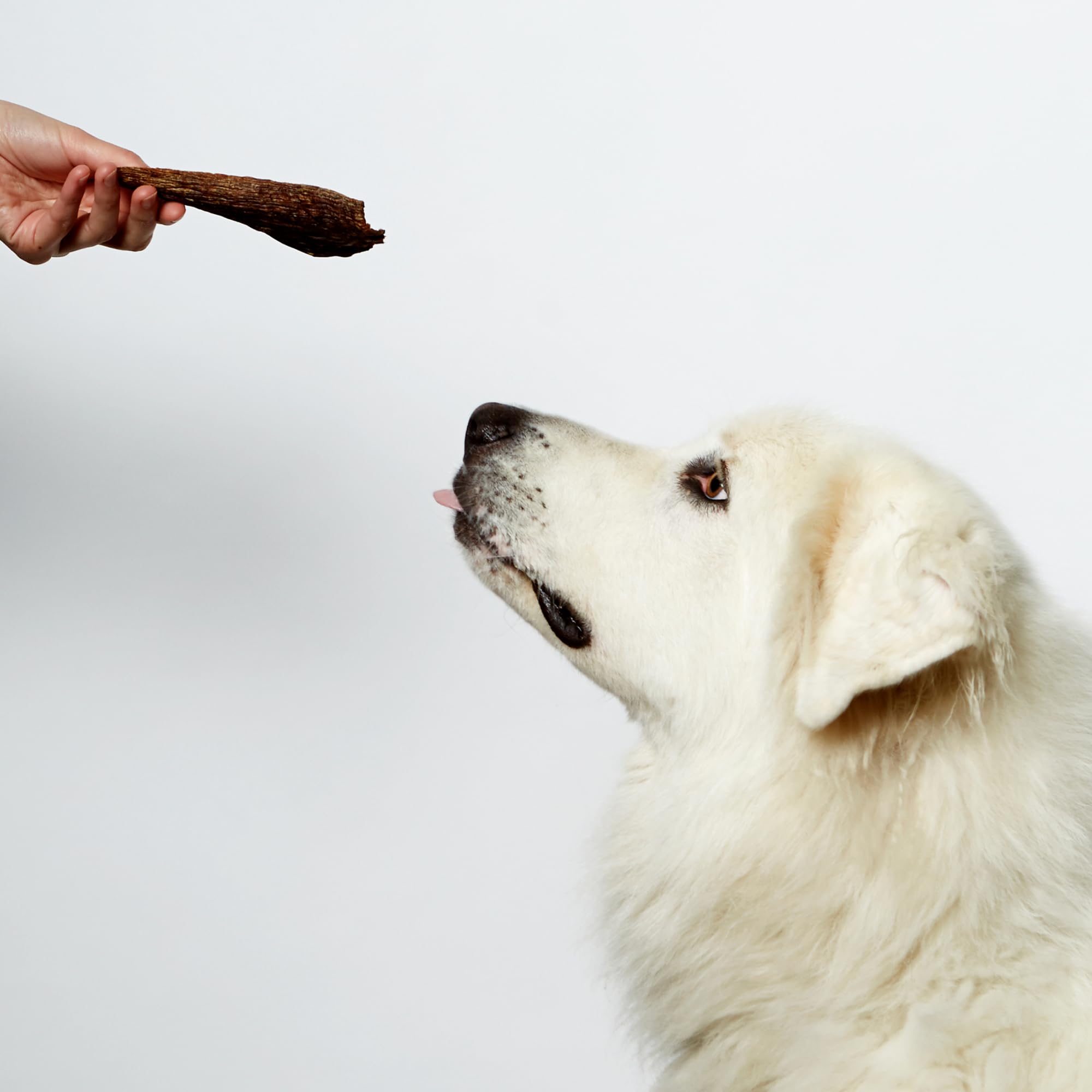 NomNomNow jerky for large dogs, satisfying chew and rewards.