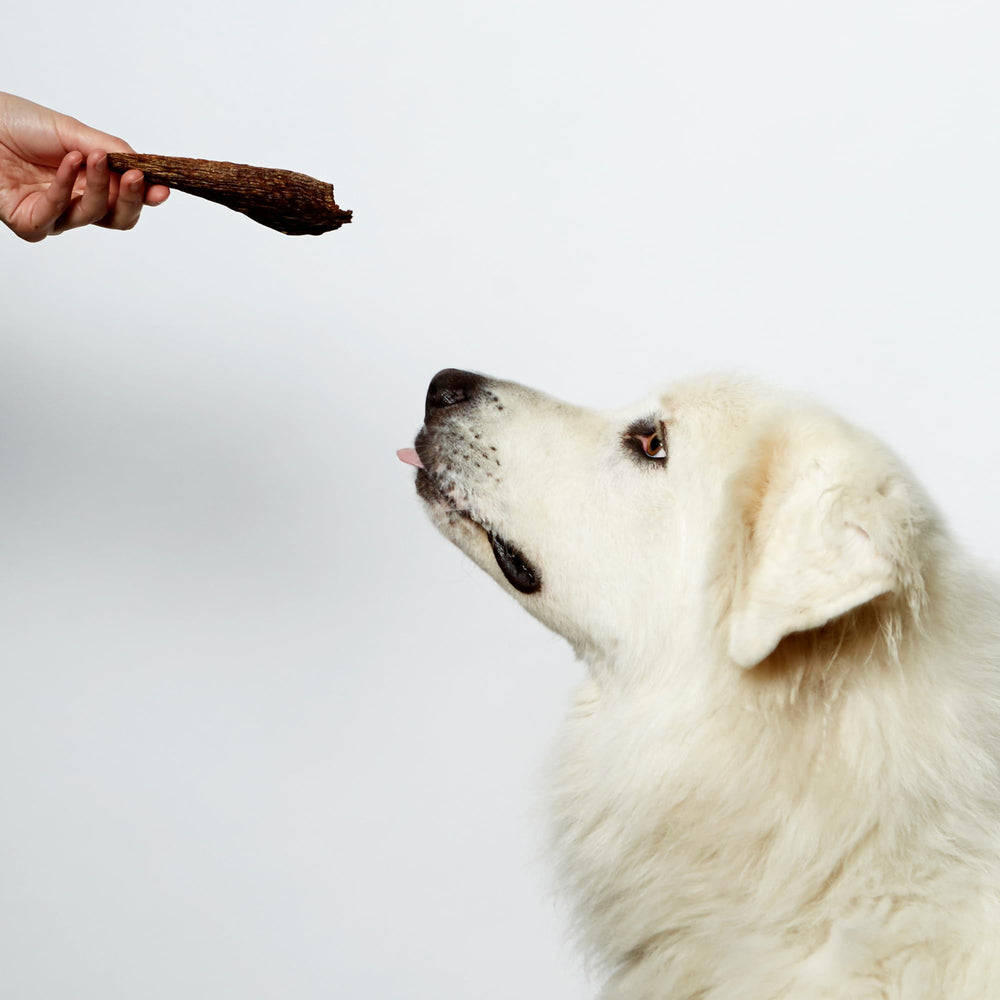 NomNomNow jerky for large dogs, satisfying chew and rewards.