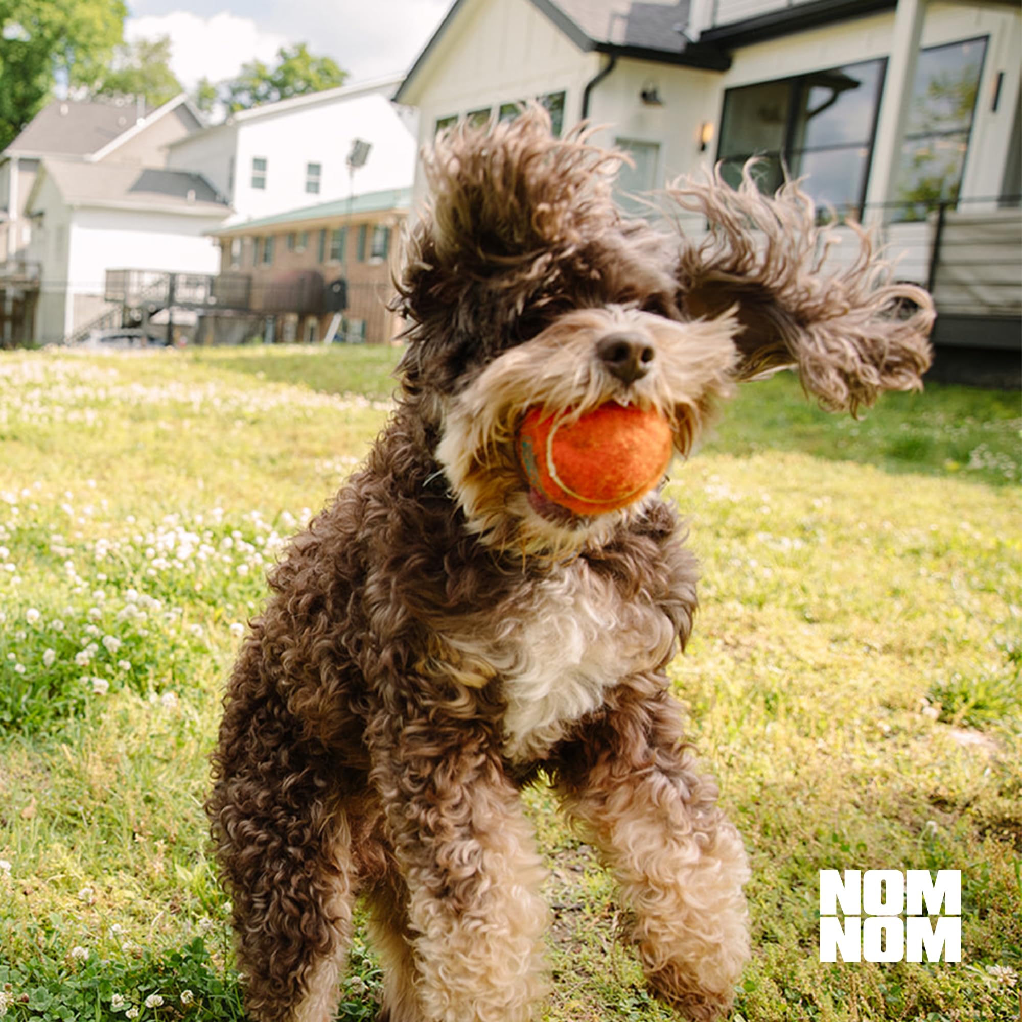 Nom Nom made-in-USA vet-developed formulation signals trusted quality.