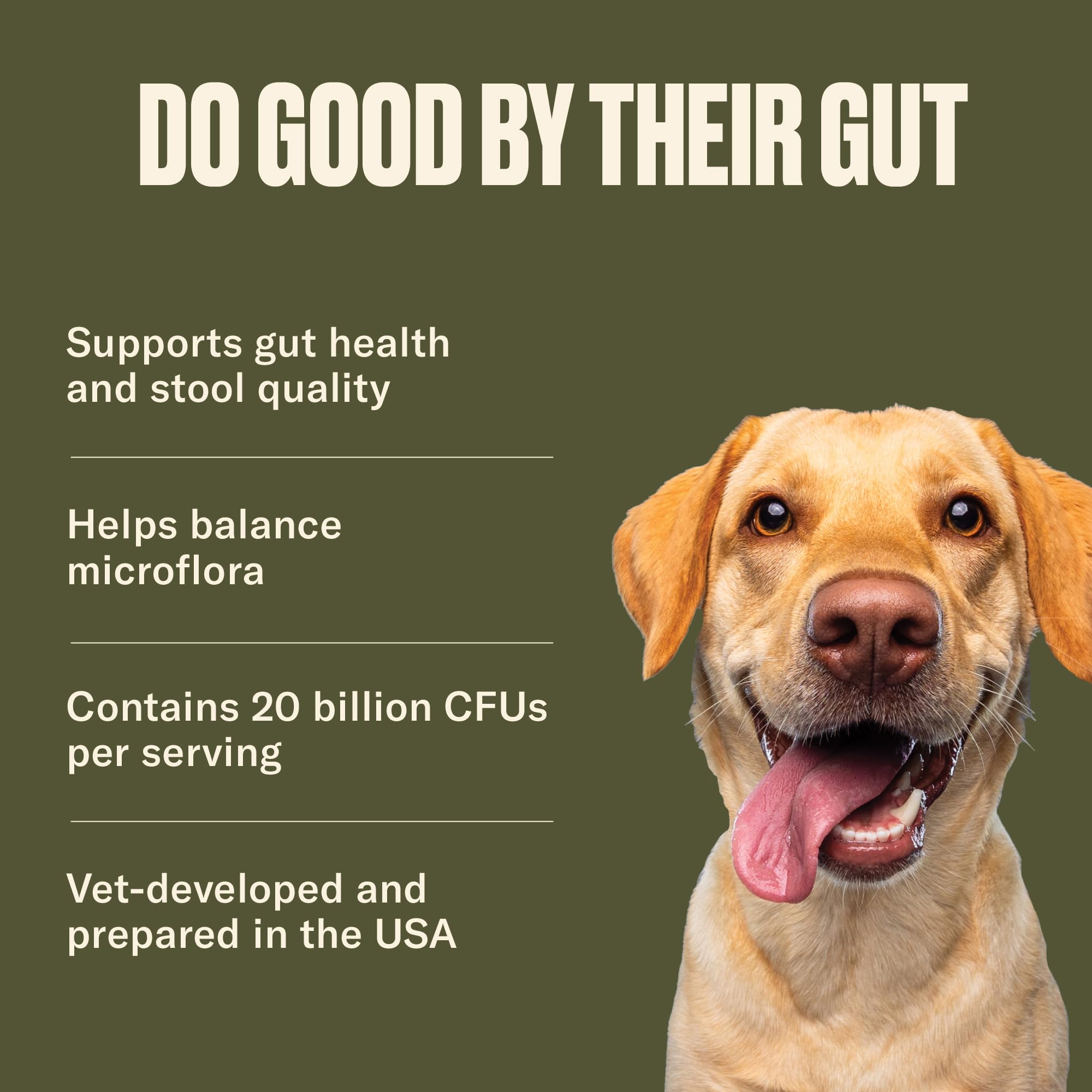 Nom Nom synbiotic blend emphasizes balanced intestinal microflora on label.