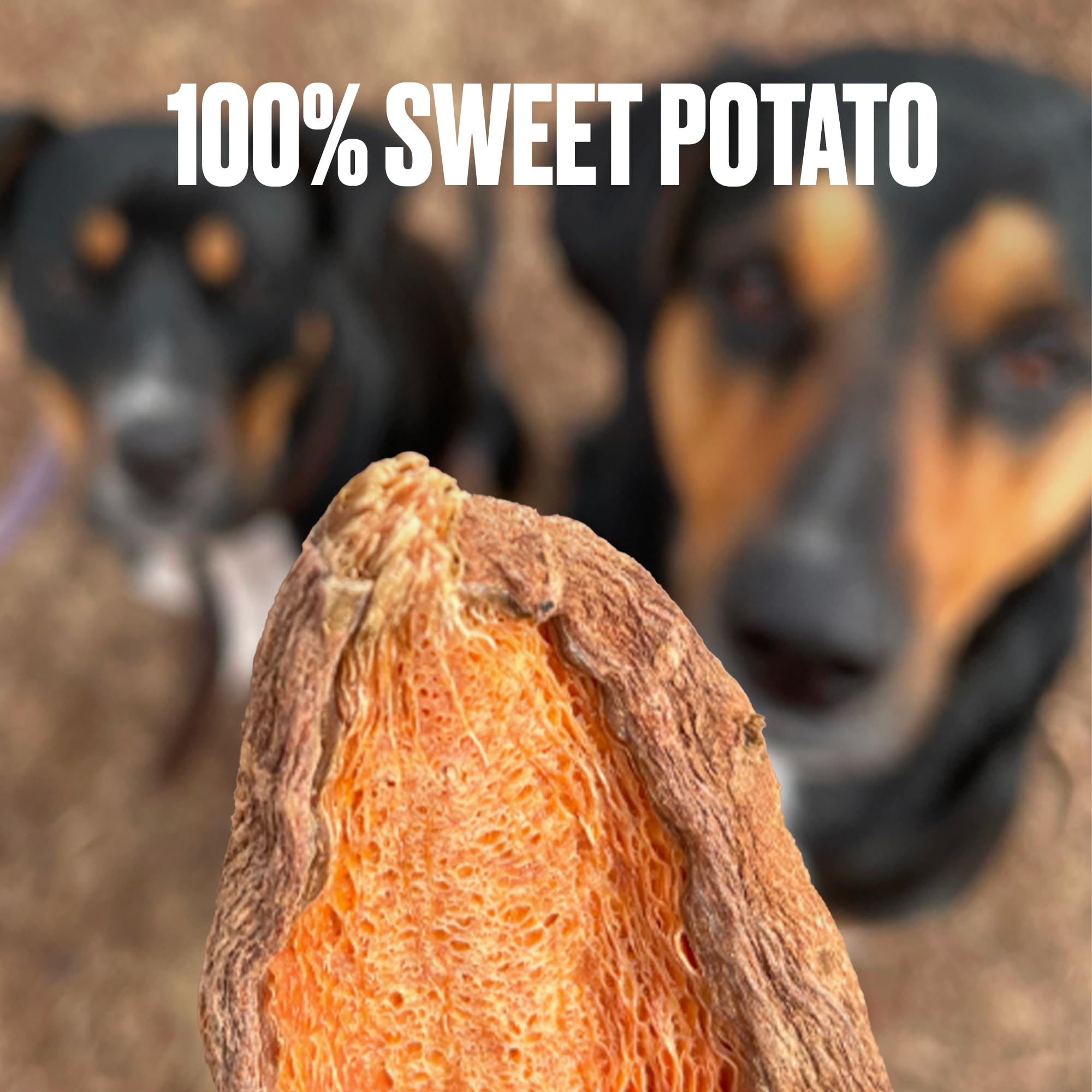 NOMNOMNOW training treats shown during a positive reinforcement session.