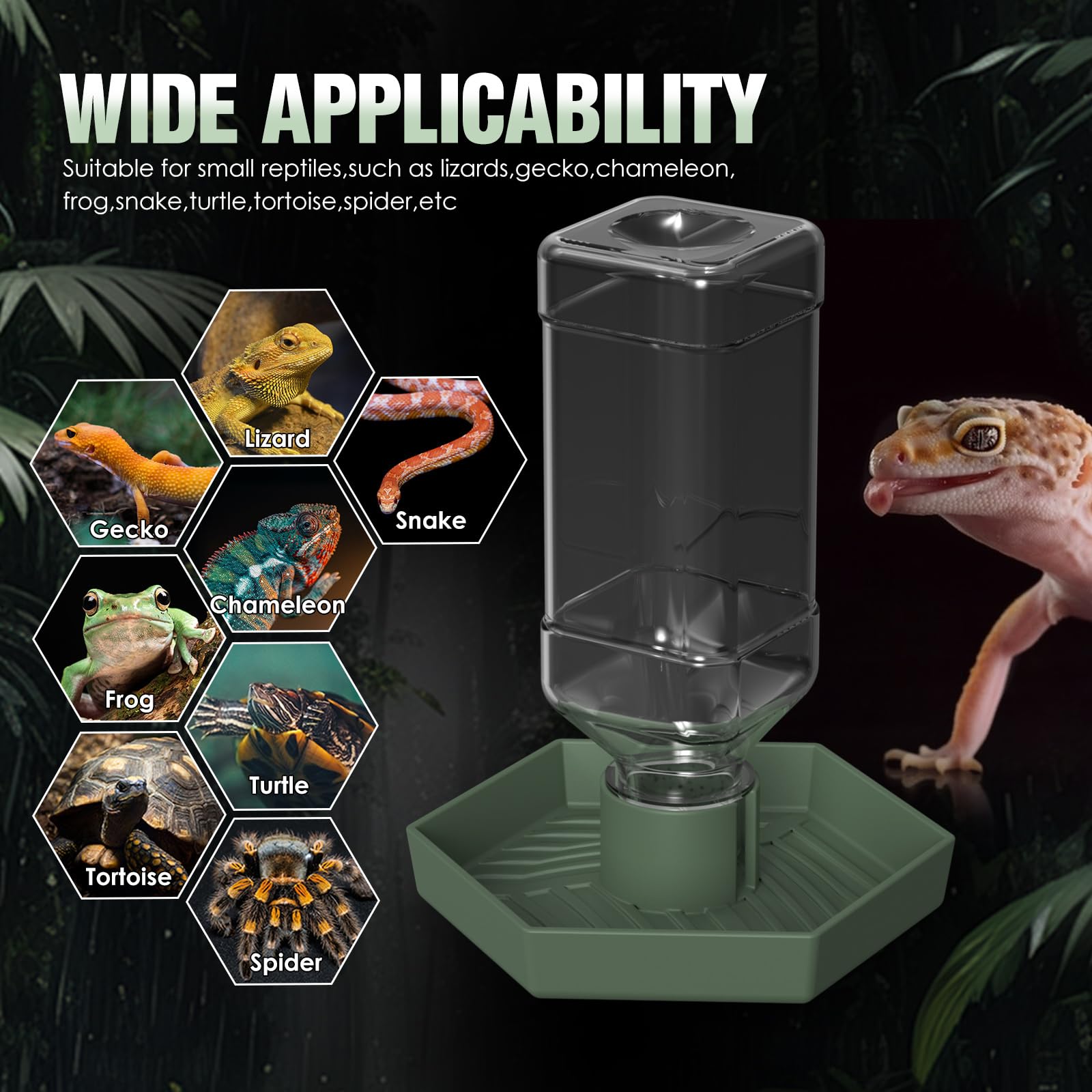 Nomoy bearded dragon habitat detail showing compact water station.