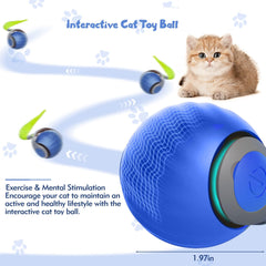 NONENDU 360-rotation cat toy demonstrates obstacle avoidance for worry-free play sessions.