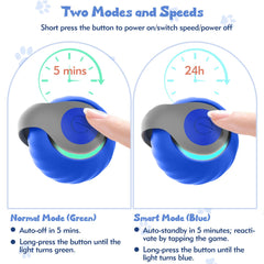 NONENDU detachable feather tail enhances chase and interactive fun during supervised play.