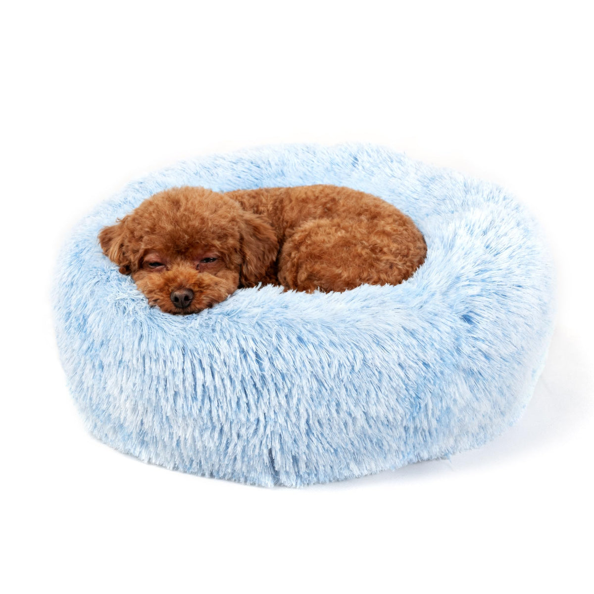nononfish puppy bed front view gradient blue round bed for cozy curling