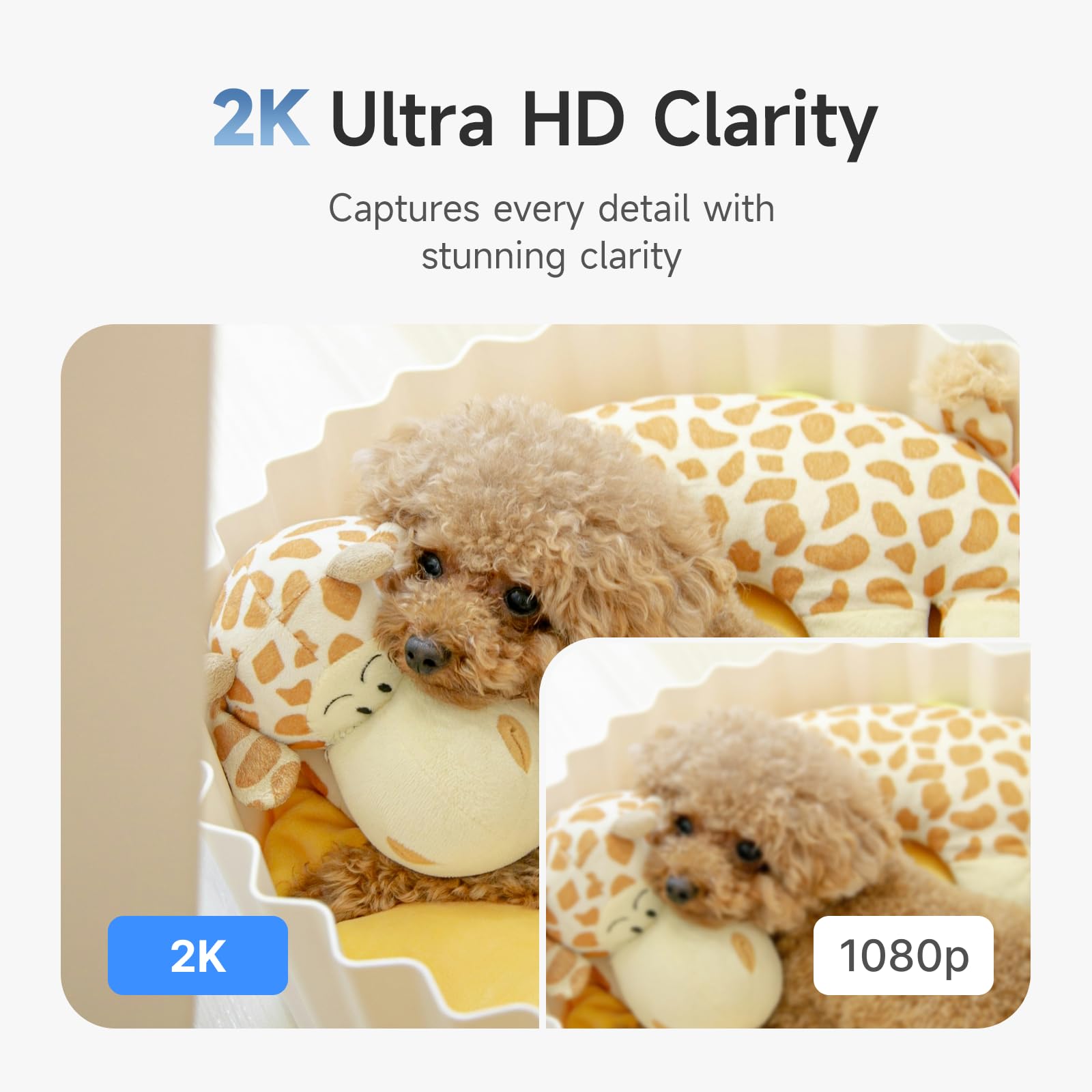 Noorio CL200 easy setup makes installation quick.