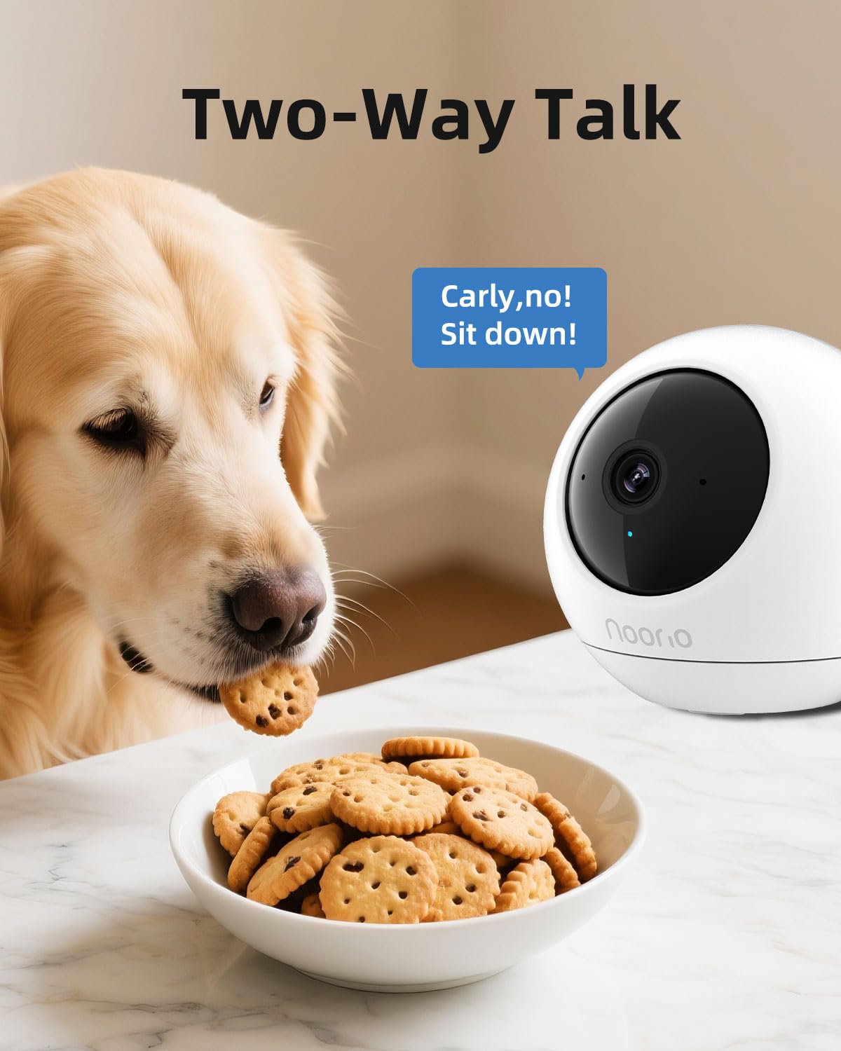 Noorio microSD local storage captures footage offline for privacy.