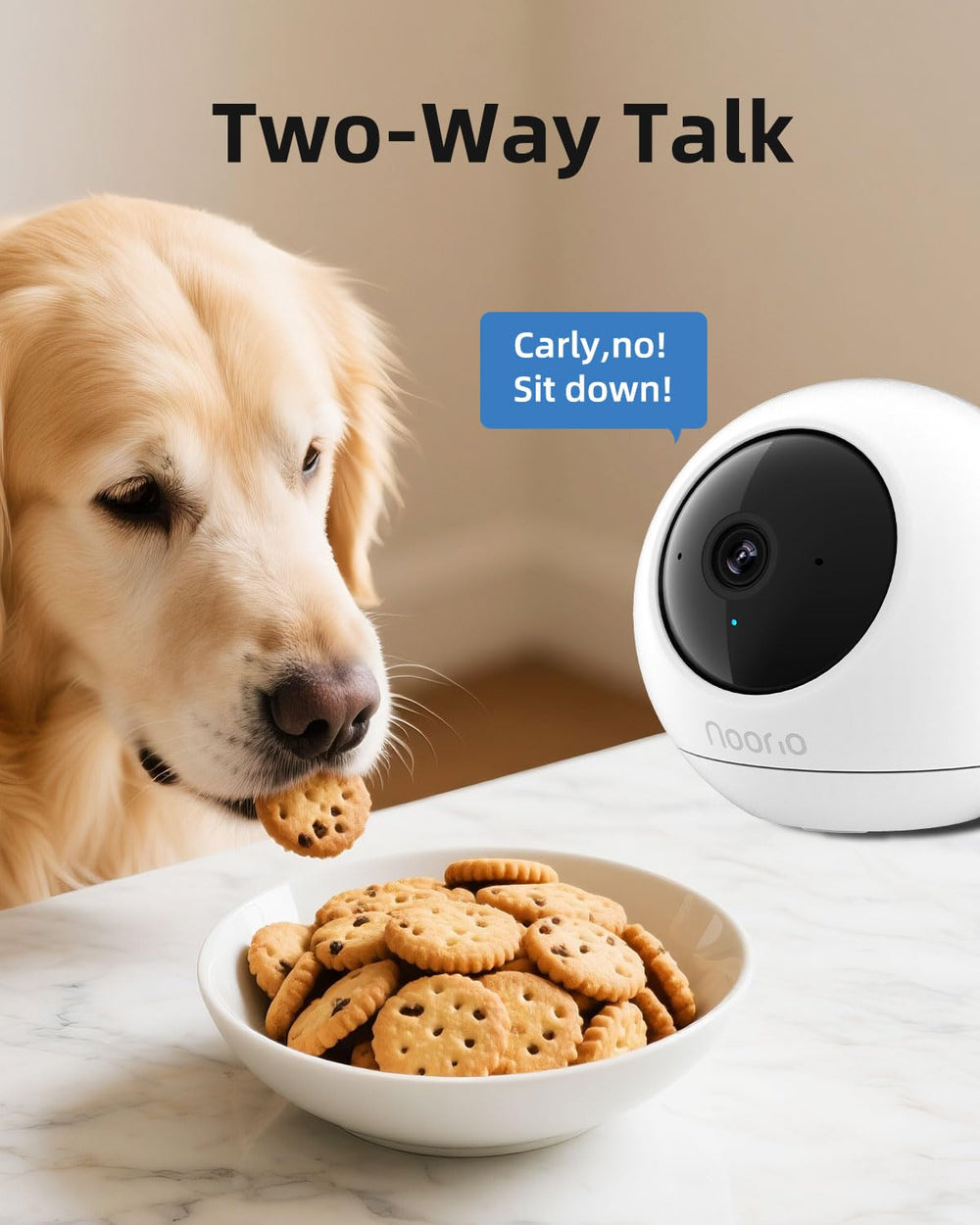 Noorio microSD local storage captures footage offline for privacy.