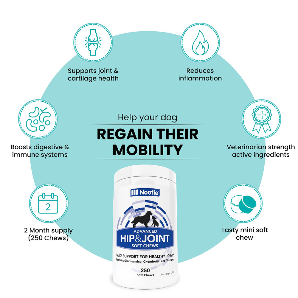 Nootie bottle 250ct packaging conveys consistent daily dosing for all breeds.