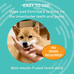 Nootie dental wipes targeting teeth and gums for fresh breath.
