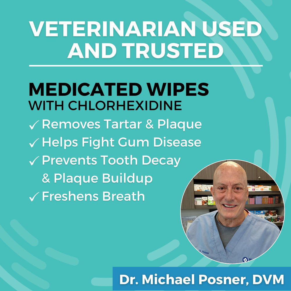 Nootie dog dental wipes application demonstrates simple teeth and gum cleaning.