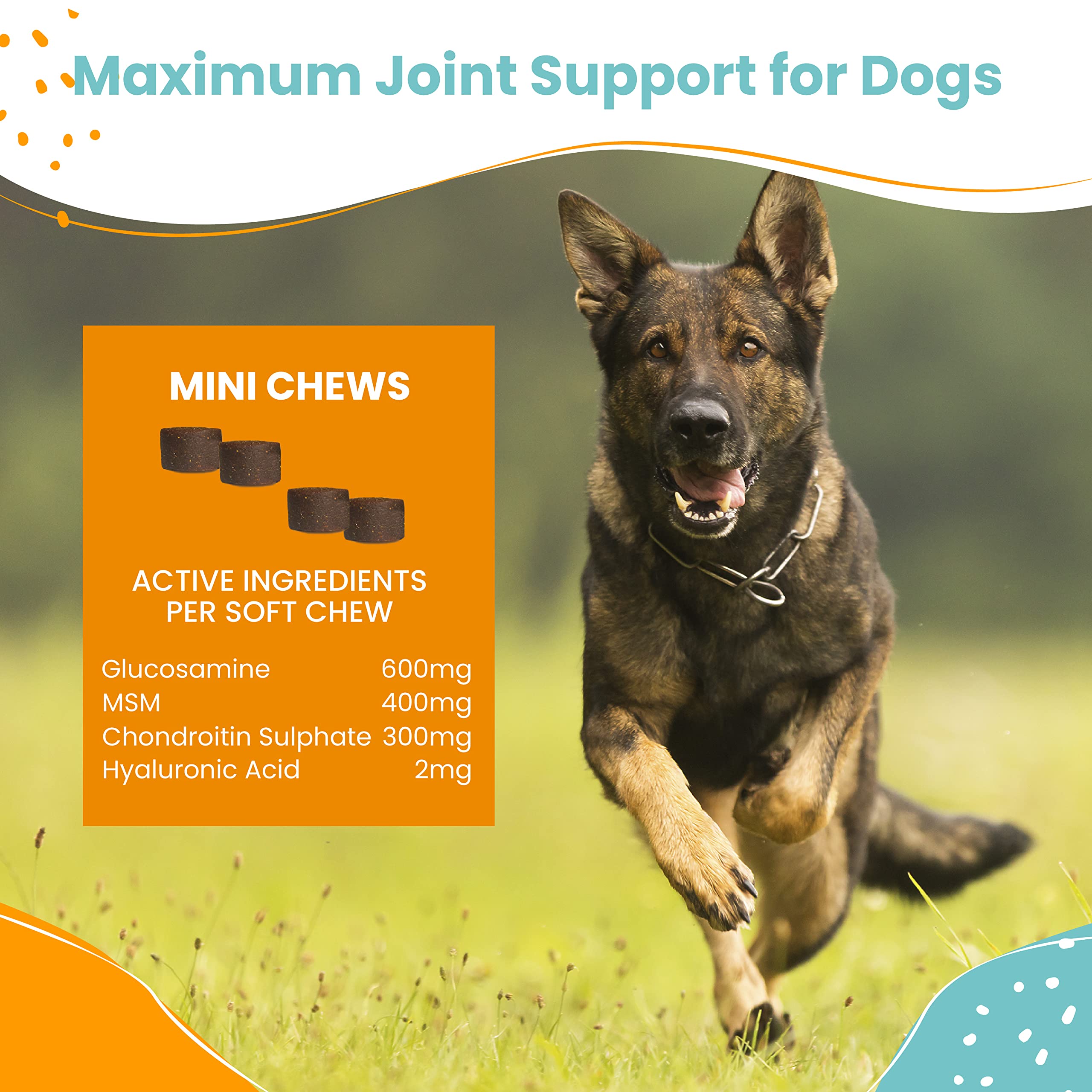 Nootie dog joint supplement turmeric formulation highlights optional natural support.