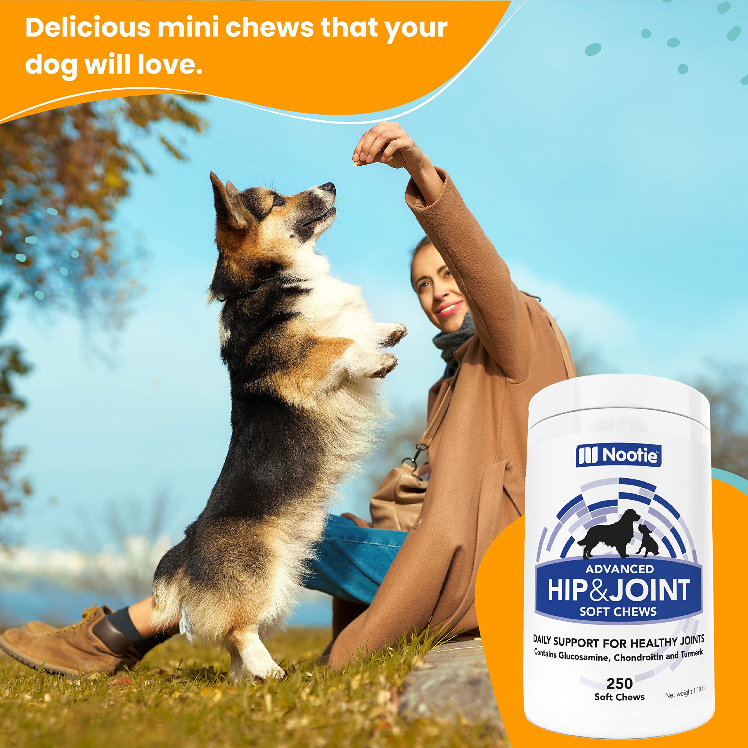 Nootie dogs enjoying bacon cheese chews demonstrates pet-friendly joint support in everyday life.