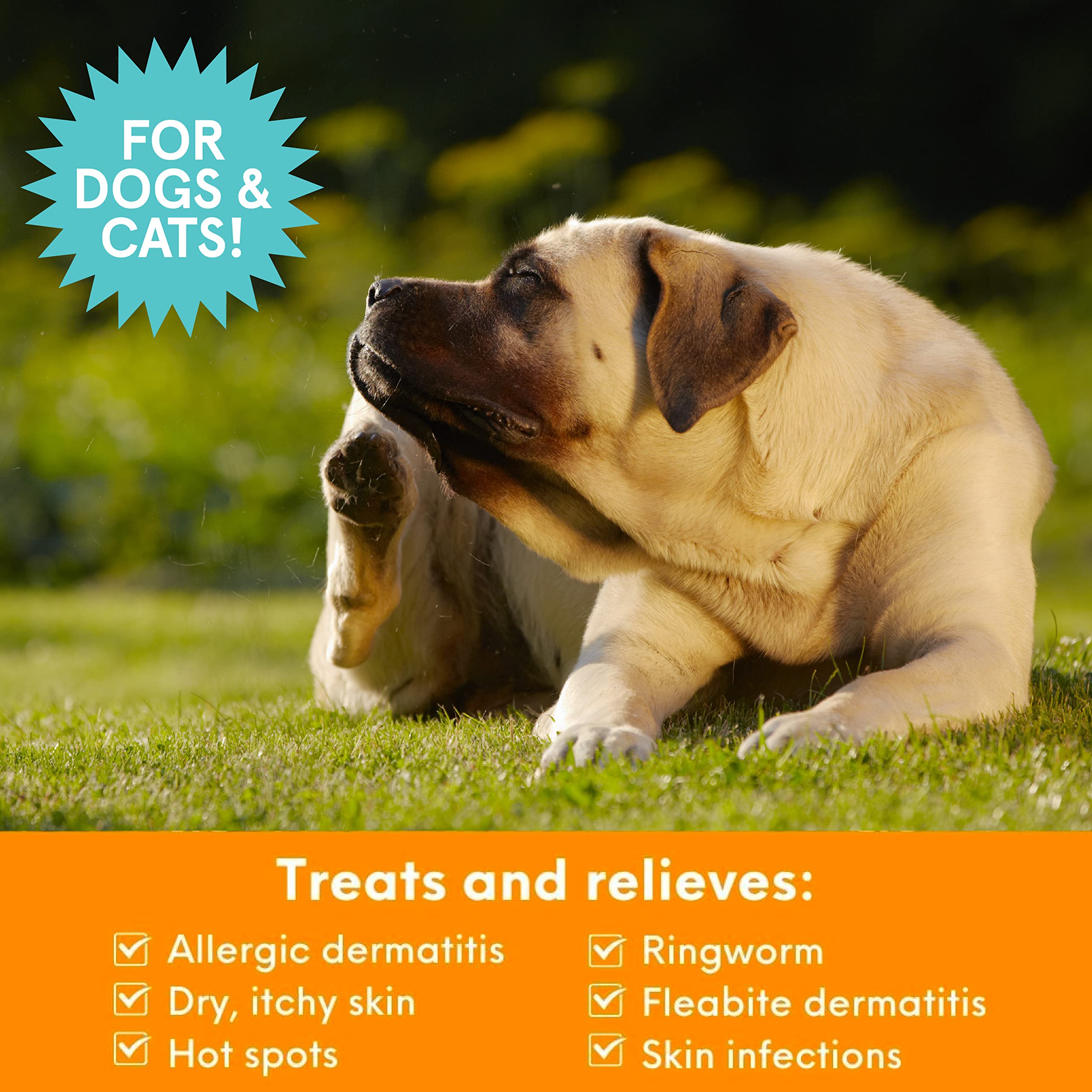 Nootie Medicated Pet Shampoo label closeup highlighting veterinarian-strength formula.