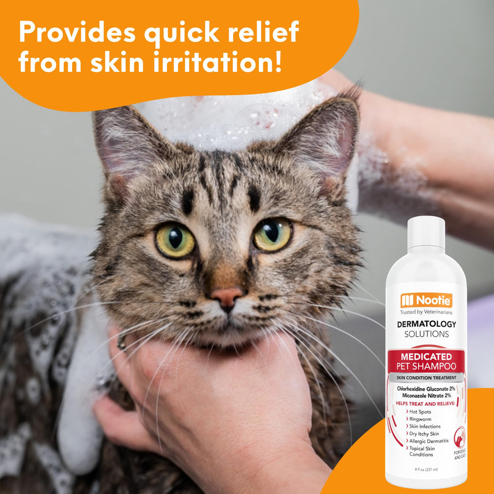 Nootie Medicated Pet Shampoo foamy lather ready for coat cleaning and care.