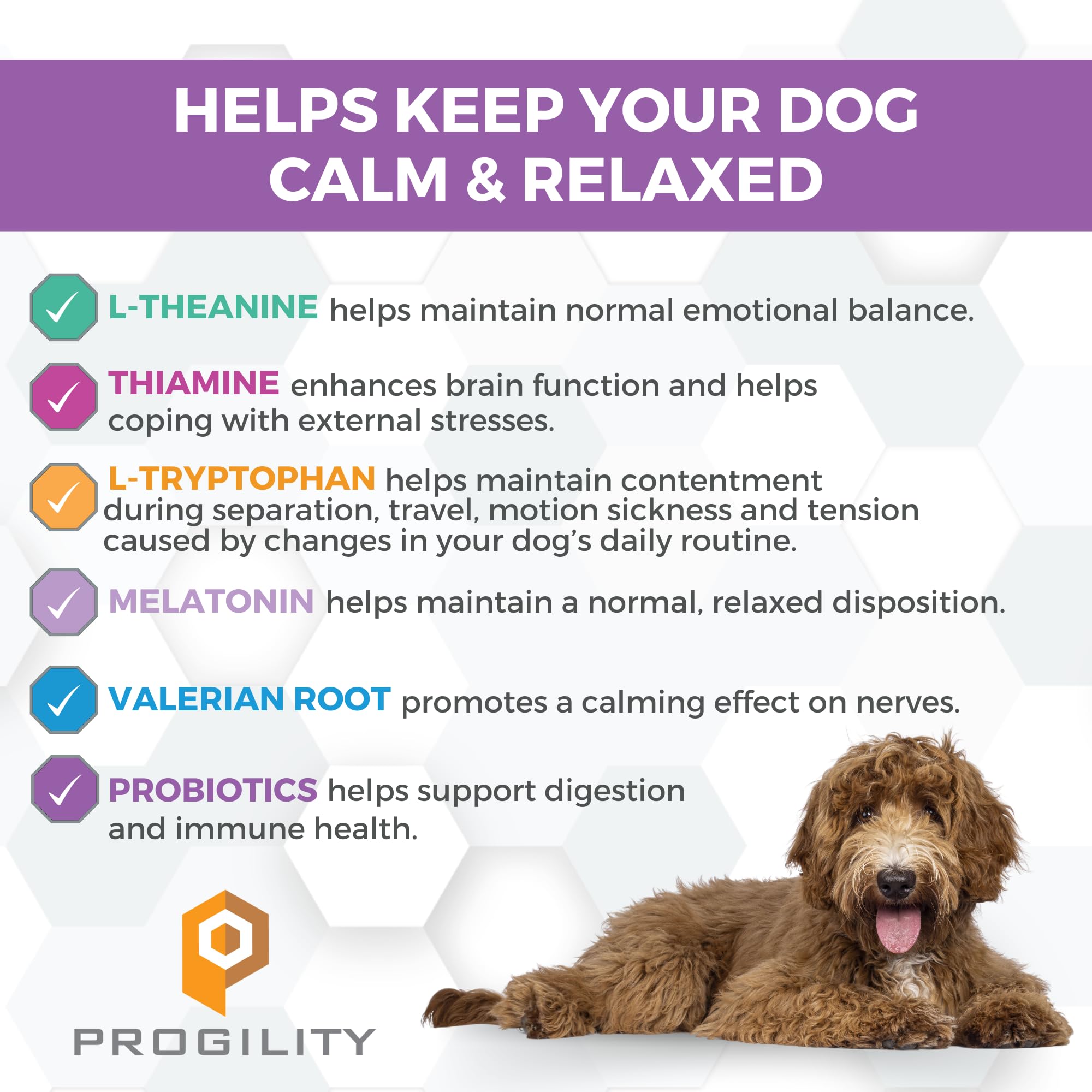 Nootie Progility calming chews bottle front shows soft bacon-cheese treats.