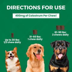 Dog enjoying a Progility chew indicating easy daily immune support