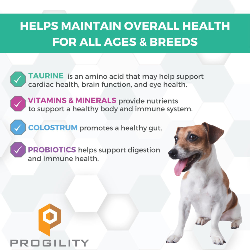 Nootie Progility dog soft chews close-up for easy daily nutrition.