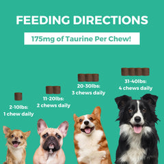Nootie Progility dog-taurine close-up highlights heart and brain support.