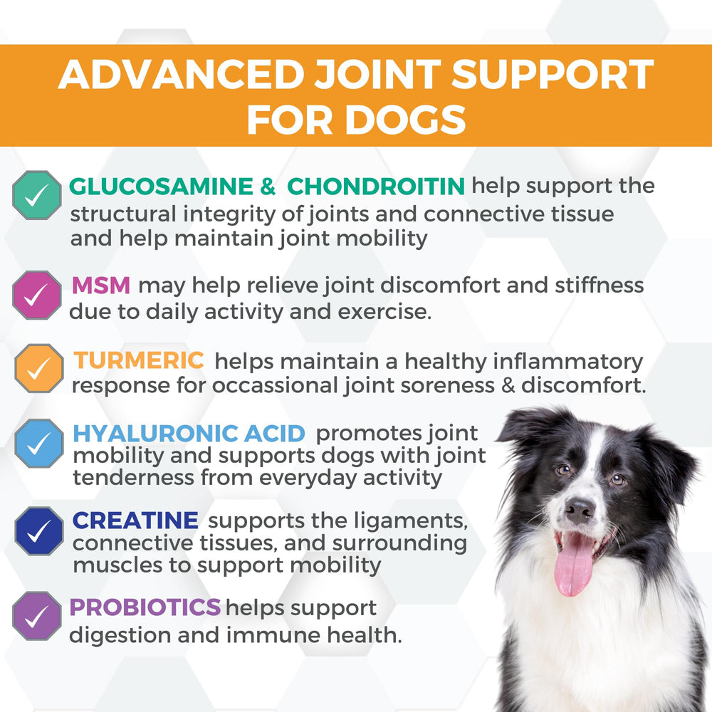 Nootie Progility glucosamine-chondroitin dosage image highlighting joint support potential.