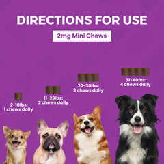 Nootie Progility Mini Calming chews close-up with bacon-cheese flavor for picky dogs.