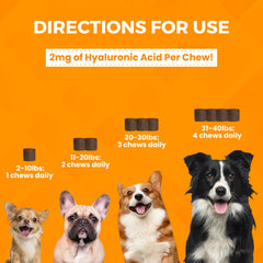 Nootie Progility Mini chews soft texture close-up highlights easy chewability for small dogs.