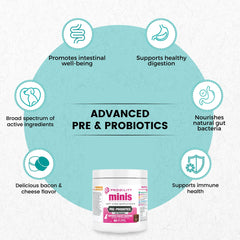 Nootie Progility Mini soft-chew texture close-up for sensitive stomachs