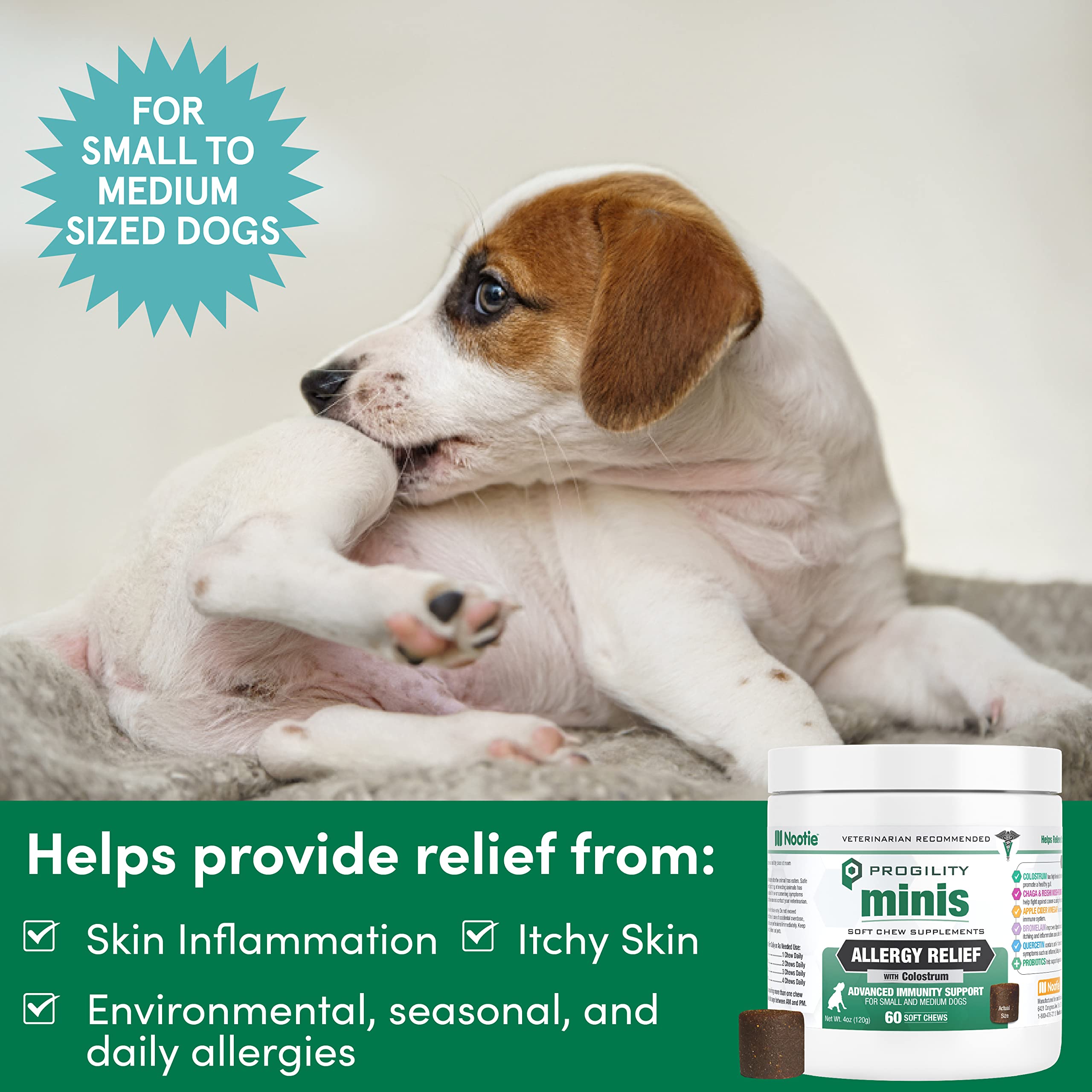 Nootie Progility Mini soft chews in bacon cheese flavor for daily canine treats.
