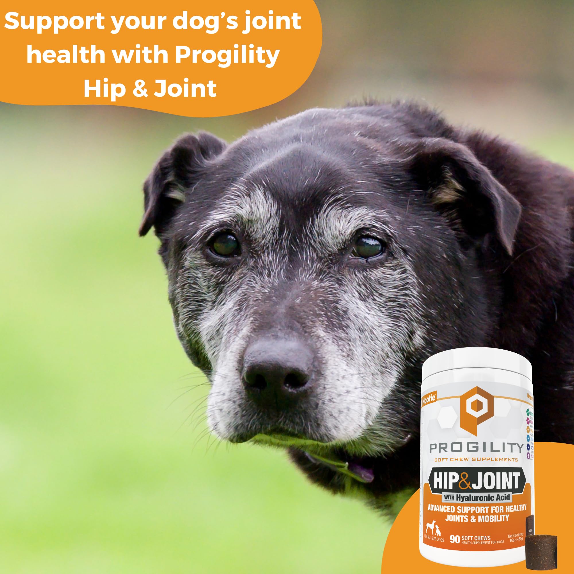 Nootie Progility msm-turmeric-hyaluronic-acid image emphasizes joint comfort and daily activity support.
