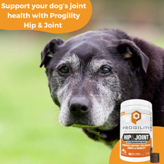 Nootie Progility msm-turmeric-hyaluronic-acid image emphasizes joint comfort and daily activity support.