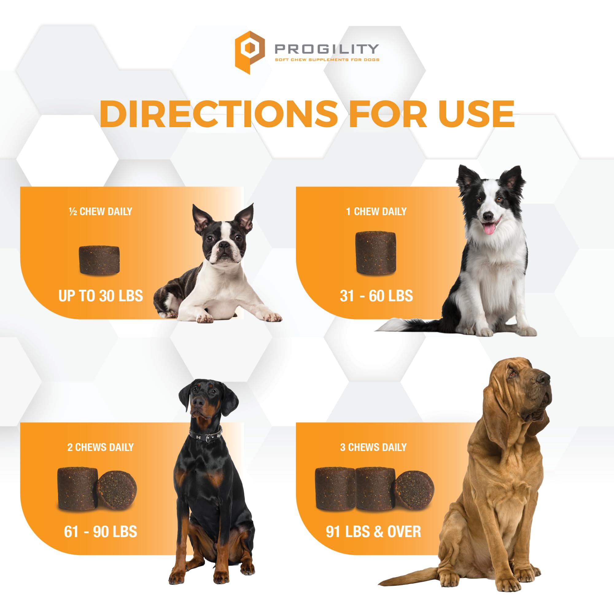 Nootie Progility probiotic dog digestive health photo suggests better nutrient absorption benefits.