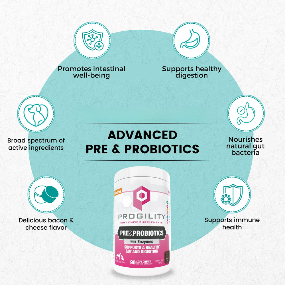 Nootie Progility soft chews in jar showing tasty probiotic support