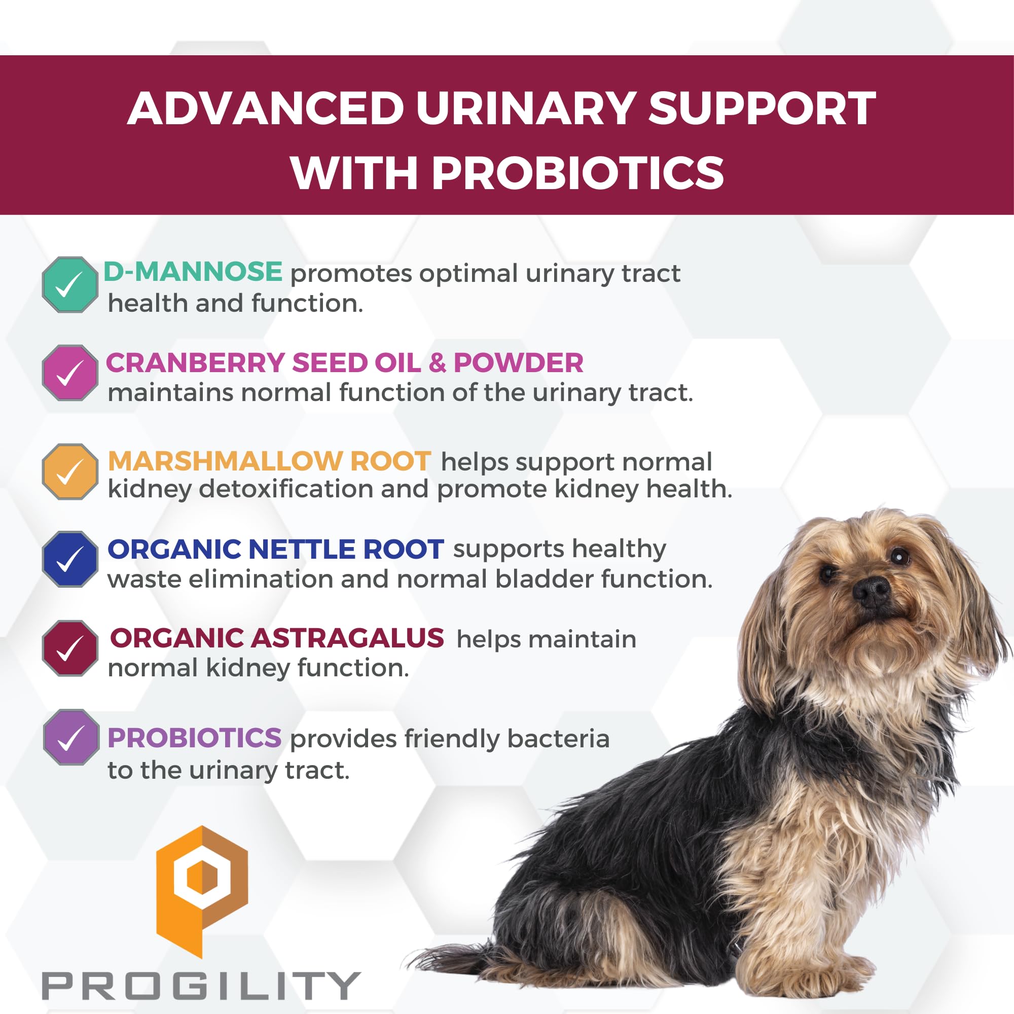 Nootie Progility urinary soft chews, dog chewing, supports bladder health.