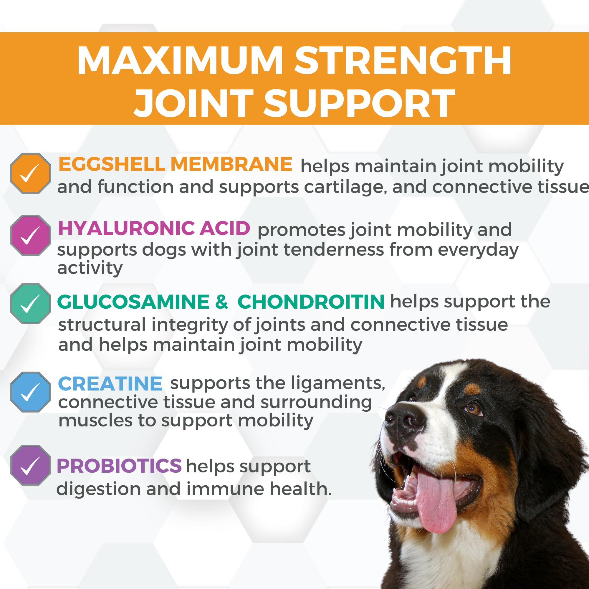 Nootie ProgilityMAX glucosamine chews with hyaluronic acid close-up showing digestion support.