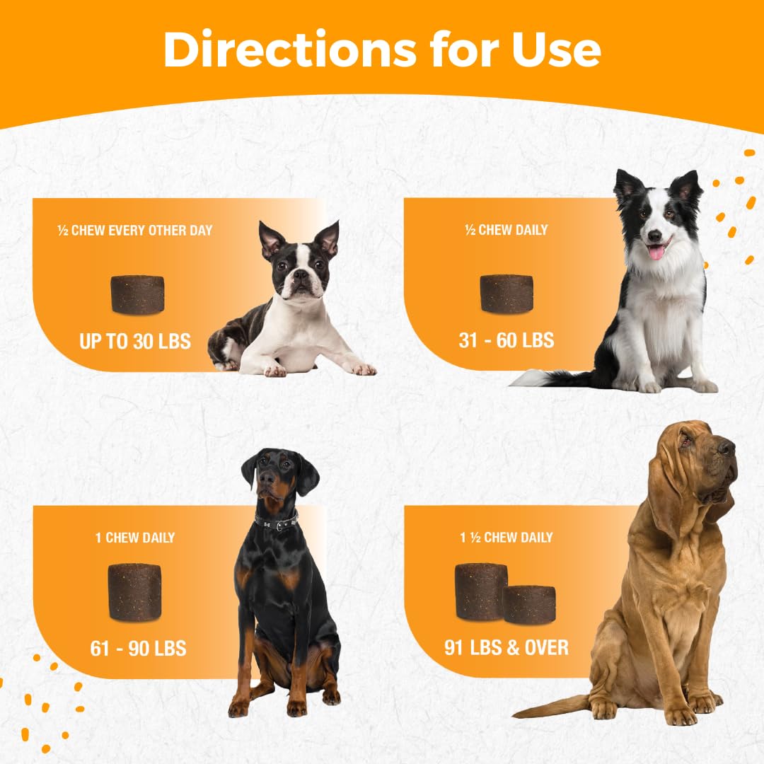 Nootie ProgilityMAX dog chew bottle beside a large breed with joint health messaging.