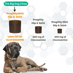 Nootie ProgilityMAX paw-friendly packaging image showing probiotics for digestion and immune support.