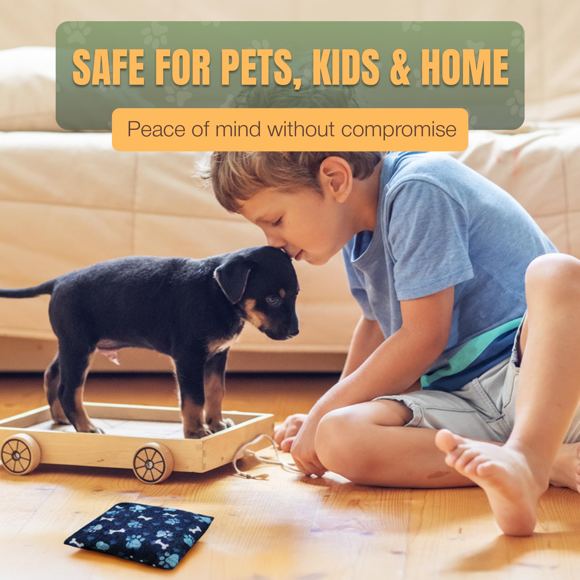 NOPEE blue-bones-product-shot showcases convenient, effective urine deterrent for dogs.