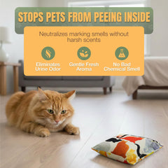 NOPEE bag in living room shows versatile indoor use