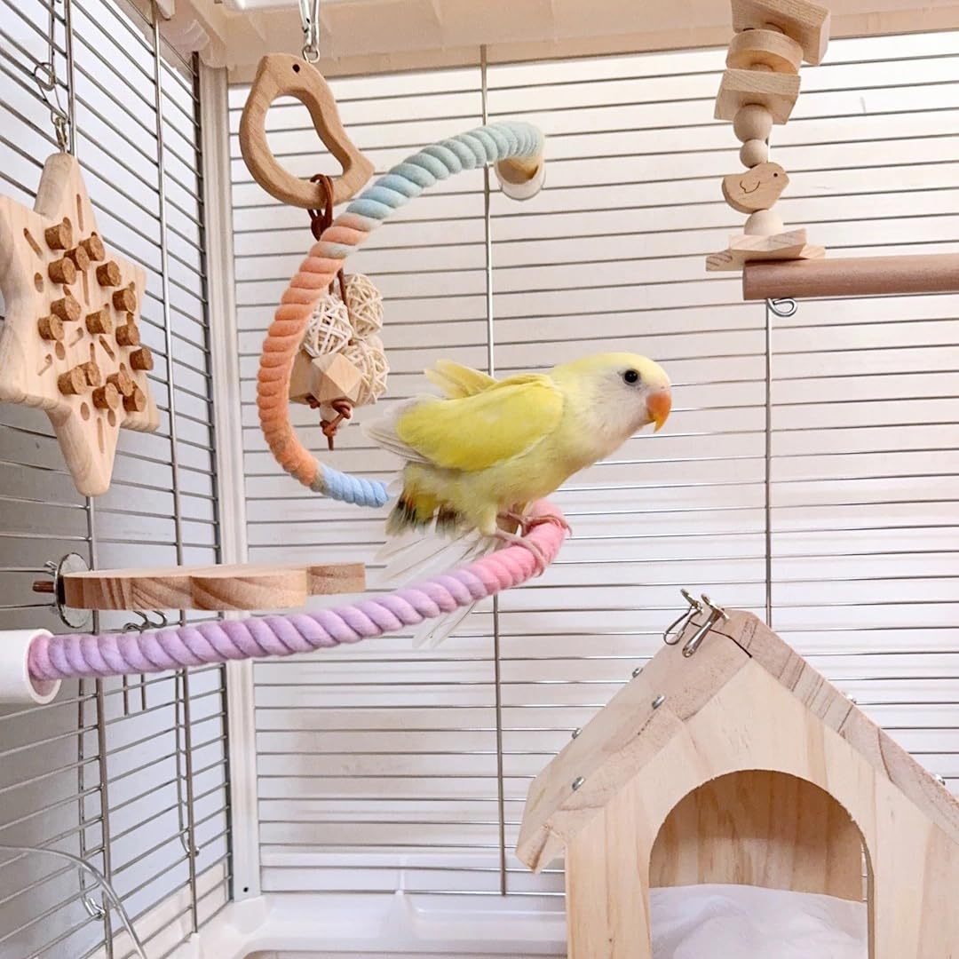 Nopikku bird in swing perch captures active play and mental engagement.