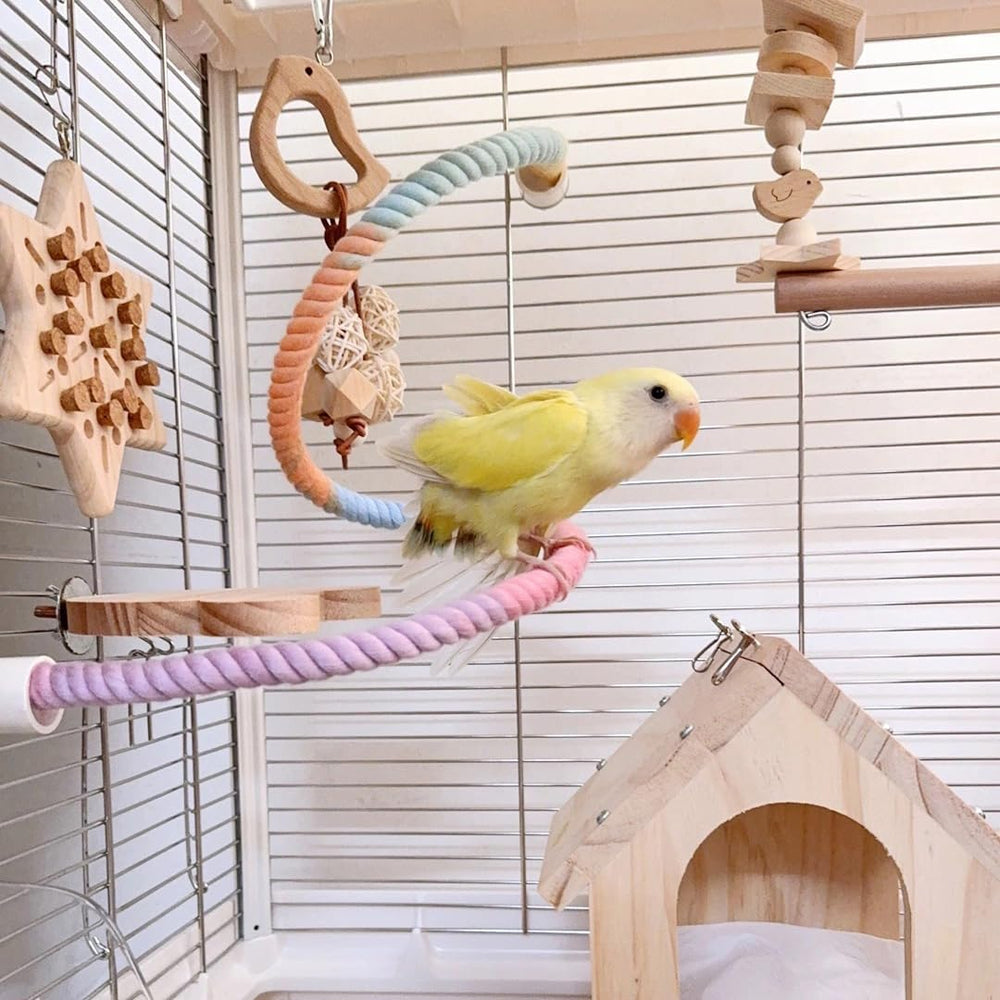 Nopikku bird in swing perch captures active play and mental engagement.
